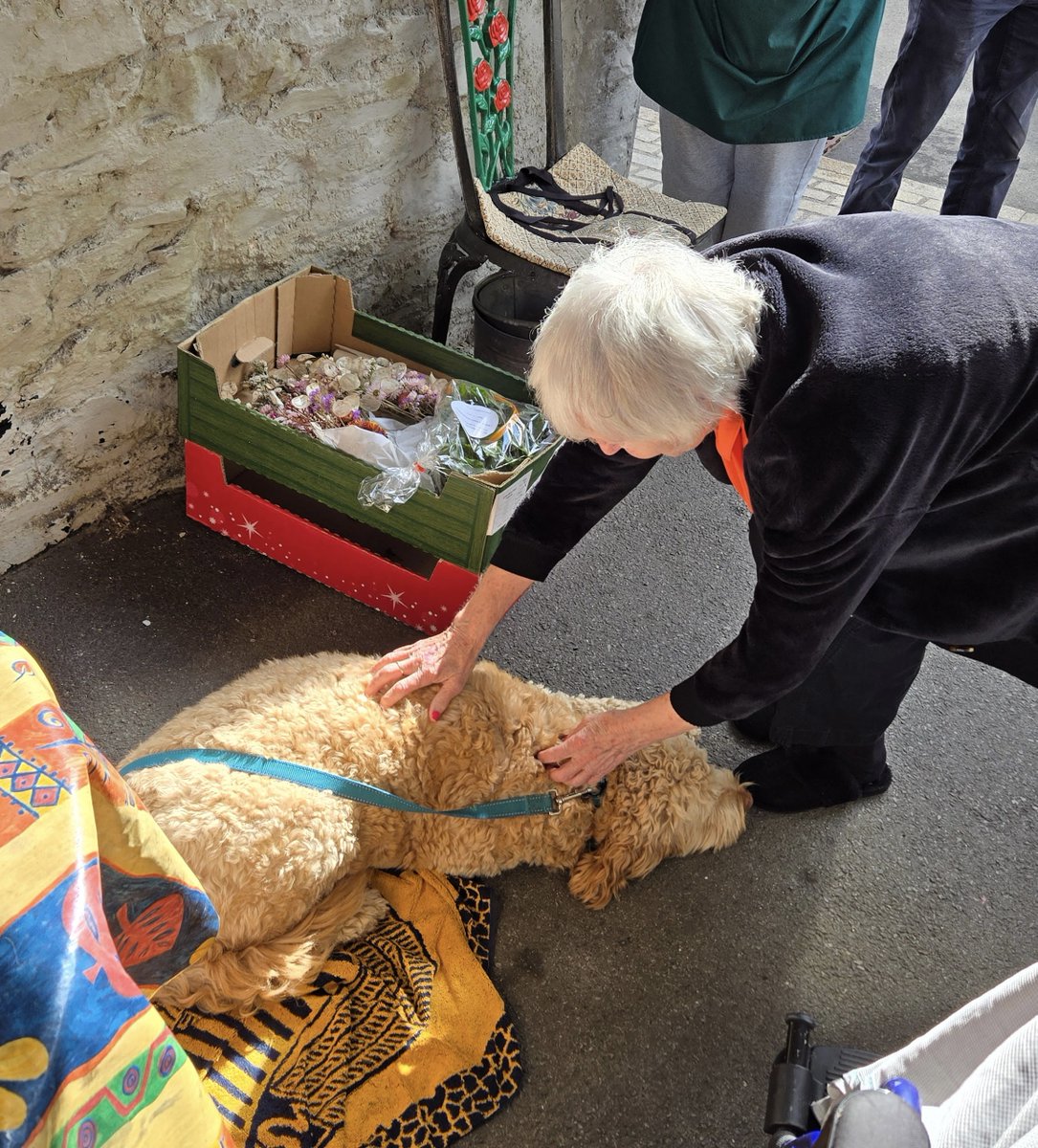 RedmountResHome's tweet photo. We have enjoyed outings to the local market, shops, and woodlands. We have also played bingo, completed quizzes, sung songs, had armchair exercises and reminiscing with words of wisdom. Everyone is suitably exhausted #BusyWeek #DaysOut #DaysIn #Wellbeing https://t.co/Dler3K5ocj
