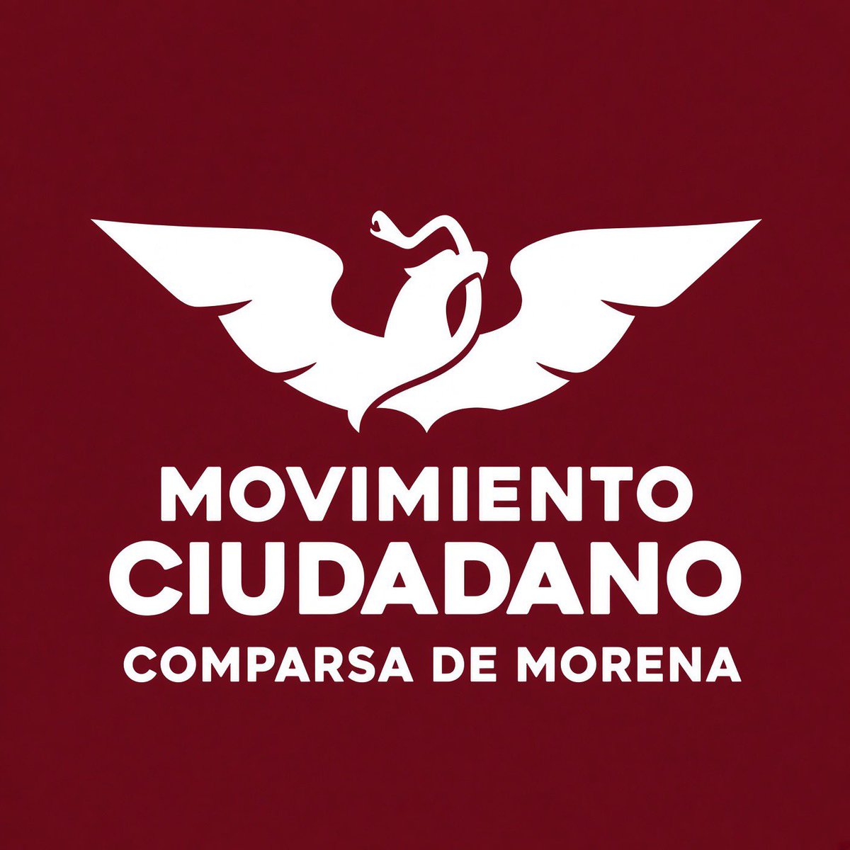 LOVREGA's tweet photo. Ni siquiera piensen en votar por Movimiento Ciudadano. Un voto por ellos es un voto tirado a la basura. 

En otras palabras, es votar por Morena 

Punto. https://t.co/XjnEGMnZUi