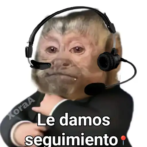 empatardo's tweet photo. conservemos las locuciones preposicionales clásicas «en relación con» y «con relación a»;  no es necesario innovar la concha de tu hermana https://t.co/pHZw7YUZJY