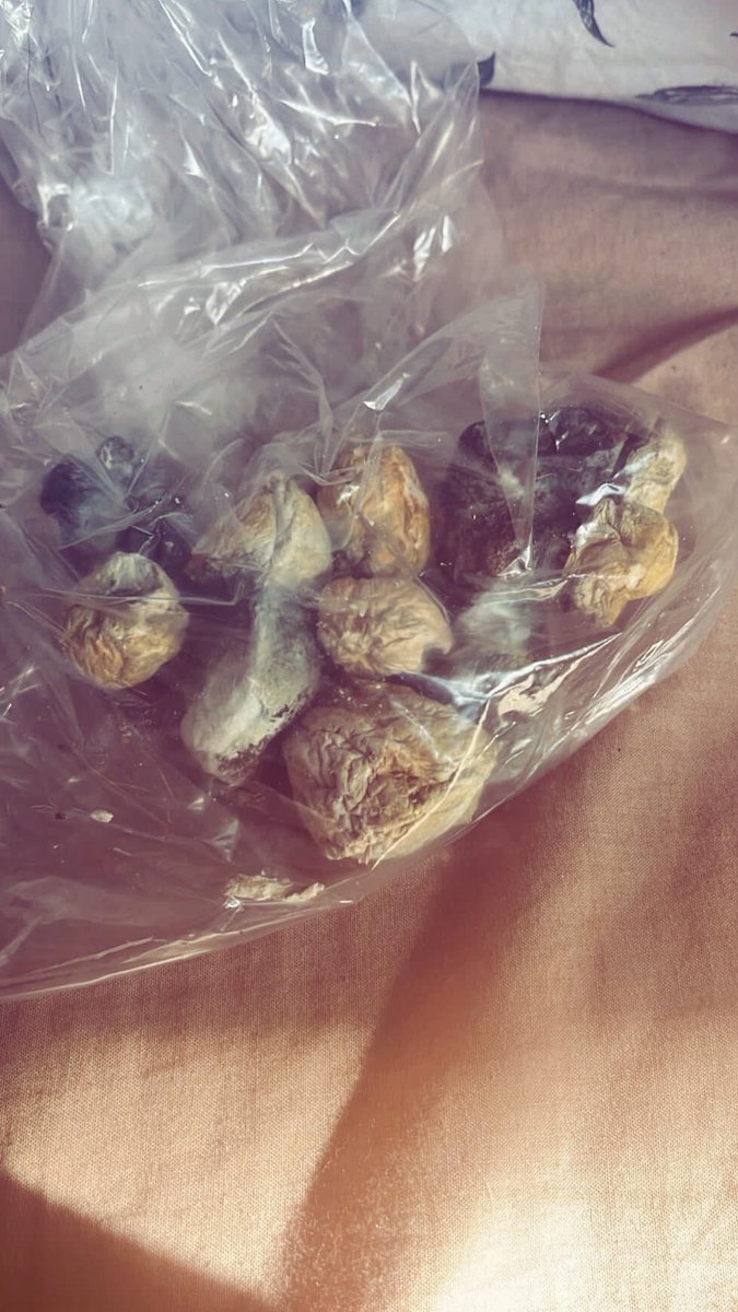 lsdchrist's tweet photo. wow yum #drugtwt https://t.co/6wzqWlzDLg