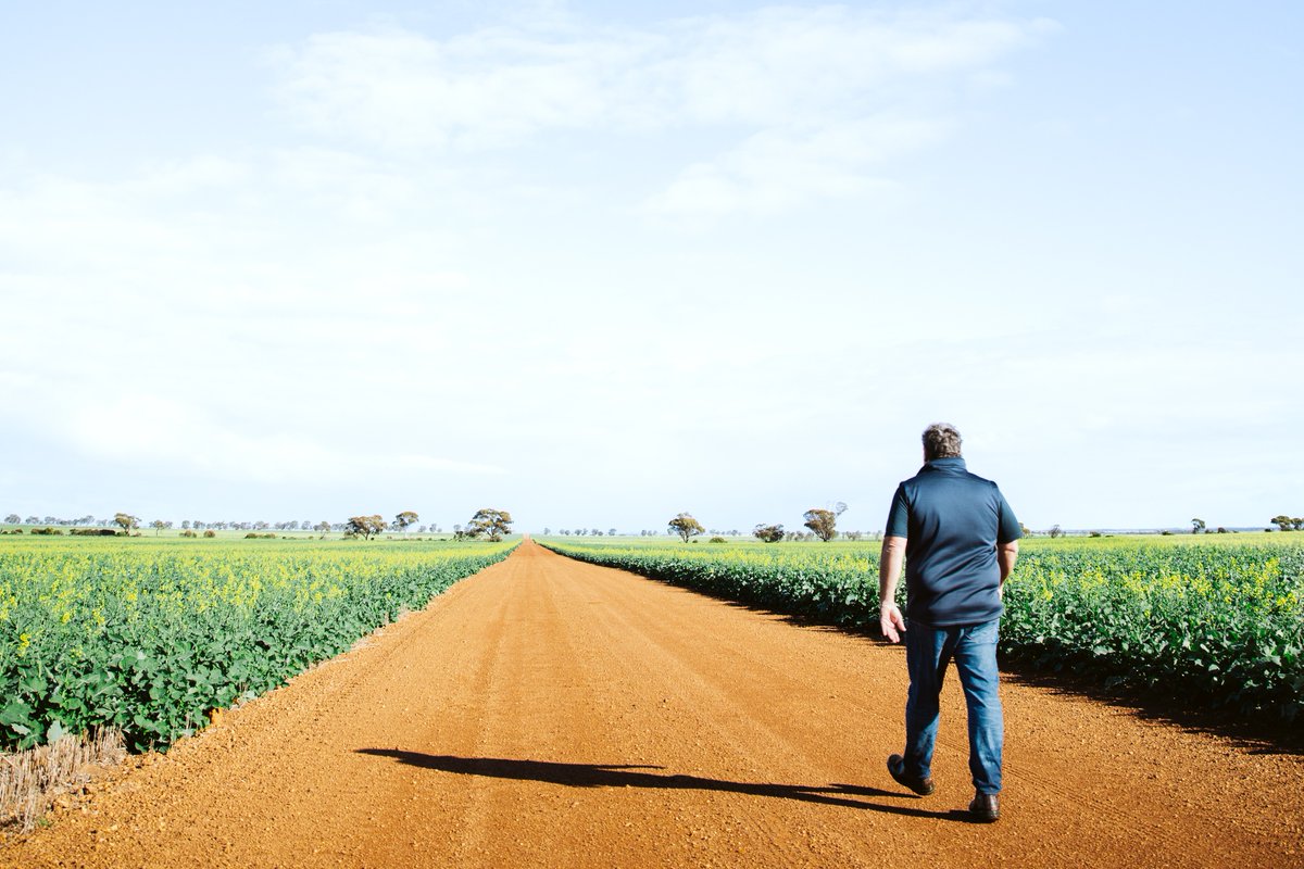 GRDCWest's tweet photo. Yuna grower John Warr has made efforts to change soil profiles, manage weeds and farm in a low-rainfall environment have helped build a resilient and diverse enterprise.

🔗 https://t.co/S4KTmK0hAA
📷 Amy Schultz

#GroundCoverOnline https://t.co/eHFzcJTOUa
