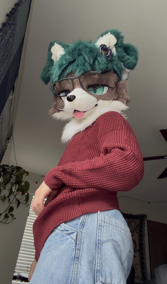 FrizkFur's tweet photo. smells like cinnamon https://t.co/FRzTtLXHFM