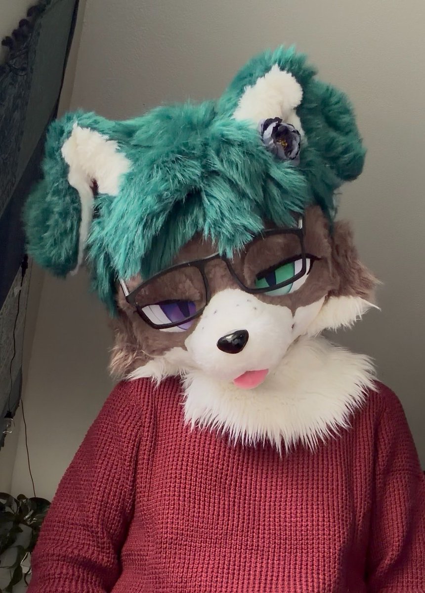 FrizkFur's tweet photo. smells like cinnamon https://t.co/FRzTtLXHFM