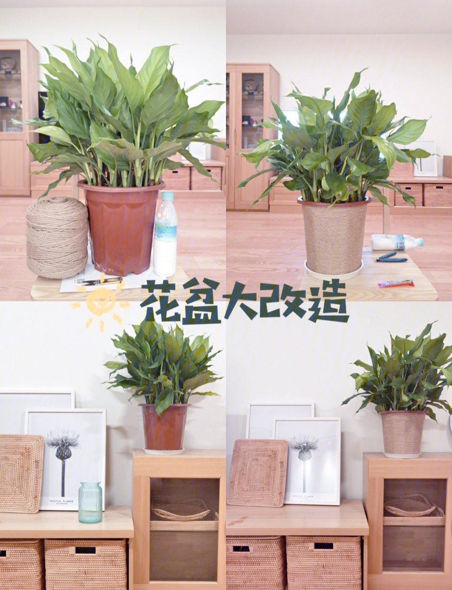 KaranLaslie's tweet photo. Just finished a coiled fabric planter pot—upcycled old clothes into a trendy home decor piece for my desk!  #DIYHome https://t.co/EwtVykZmVx