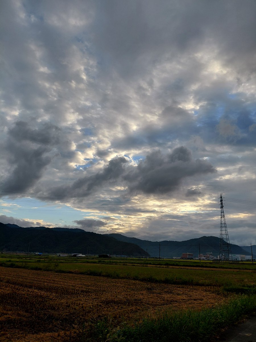 speckle_ot's tweet photo. 朝散歩。

爽やか。 https://t.co/MCSwpCpZf5