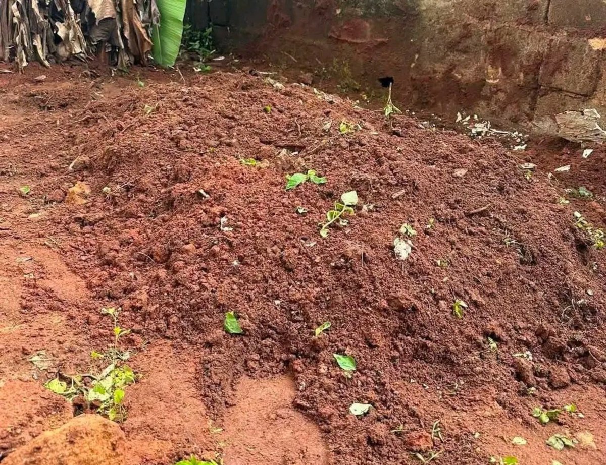 IgboHistoFacts's tweet photo. According to his fellow pupils who survived the flood, little Success Ezenwafor broke the vehicle’s window to help others escape before he was tragically swept away himself in Anambra State. He was laid to rest today.

He saved others, but sadly, no one could save him.

Rest in peace, champ. Your bravery will never be forgotten. 🕊️

Retweet to honour this little hero. 🙏
