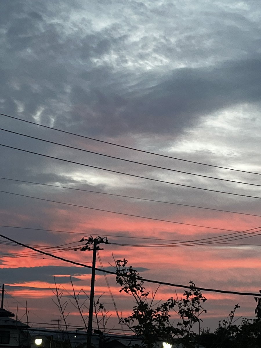 yuwa3e's tweet photo. おはよう☀️皆さん！
昨日はお休みで、職場の同僚と夕飯に
おしゃべり🤣🤣
気づけばPM11：00⁉️
ウソでしょ～💦時間忘れてしゃべってた。
楽しかったな(≧∇≦)

 #羽生クラスタ空部
 #solove🌈
 #羽生結弦選手全力応援運動部
ルームランナー
ゆっくりゆっくり🐢🐢🐢 https://t.co/lSDDAj9iL9