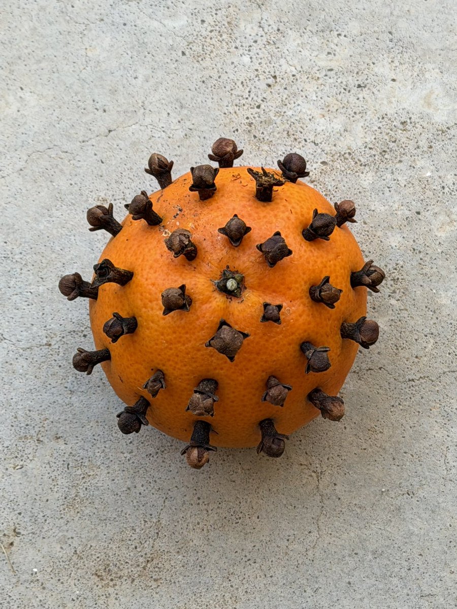 aruariandepart's tweet photo. clementine pierced w cloves...one of the best smells in the world https://t.co/rvYRtn59EW