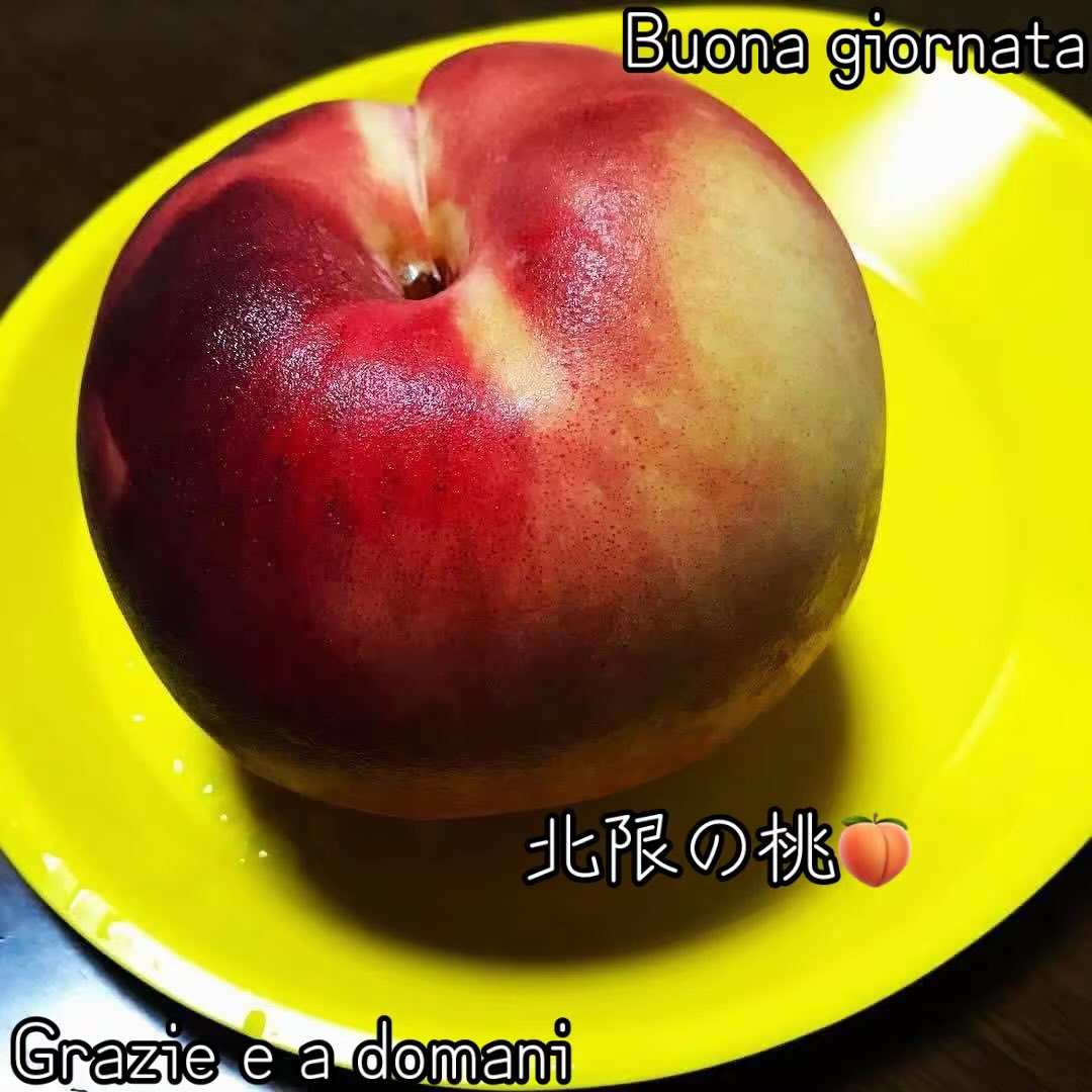 ryo225oh's tweet photo. https://t.co/RCjTWBqq81