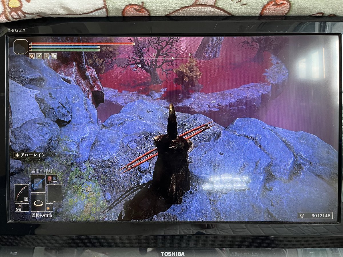 naoto_skywalker's tweet photo. #エルデンリング 
貯めた〜〜〜！
からの、おバカなステ振りww https://t.co/vejlqgVMTO