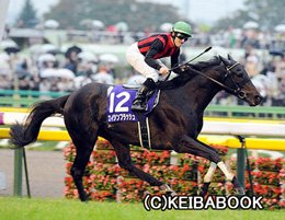 akachamp5972's tweet photo. シリウスＳ🌟
今回が初ダートとなるオニャンコポンは8枠16番となりました。大外ですが、砂を被らずに済むかもしれません。

しかし、改めて父エイシンフラッシュ、母父ヴィクトワールピサでデムーロ騎手騎乗は熱いですね✨✨

#オニャンコポン
#エイシンフラッシュ
#ヴィクトワールピサ
#Ｍ・デムーロ https://t.co/4lwWqcjLqp