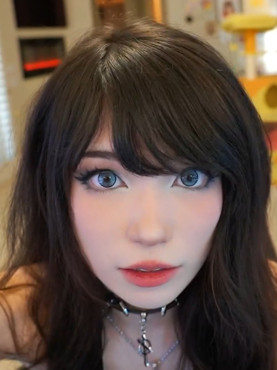 Tinybitsilly2's tweet photo. What are you looking at? https://t.co/YYU82kWM82