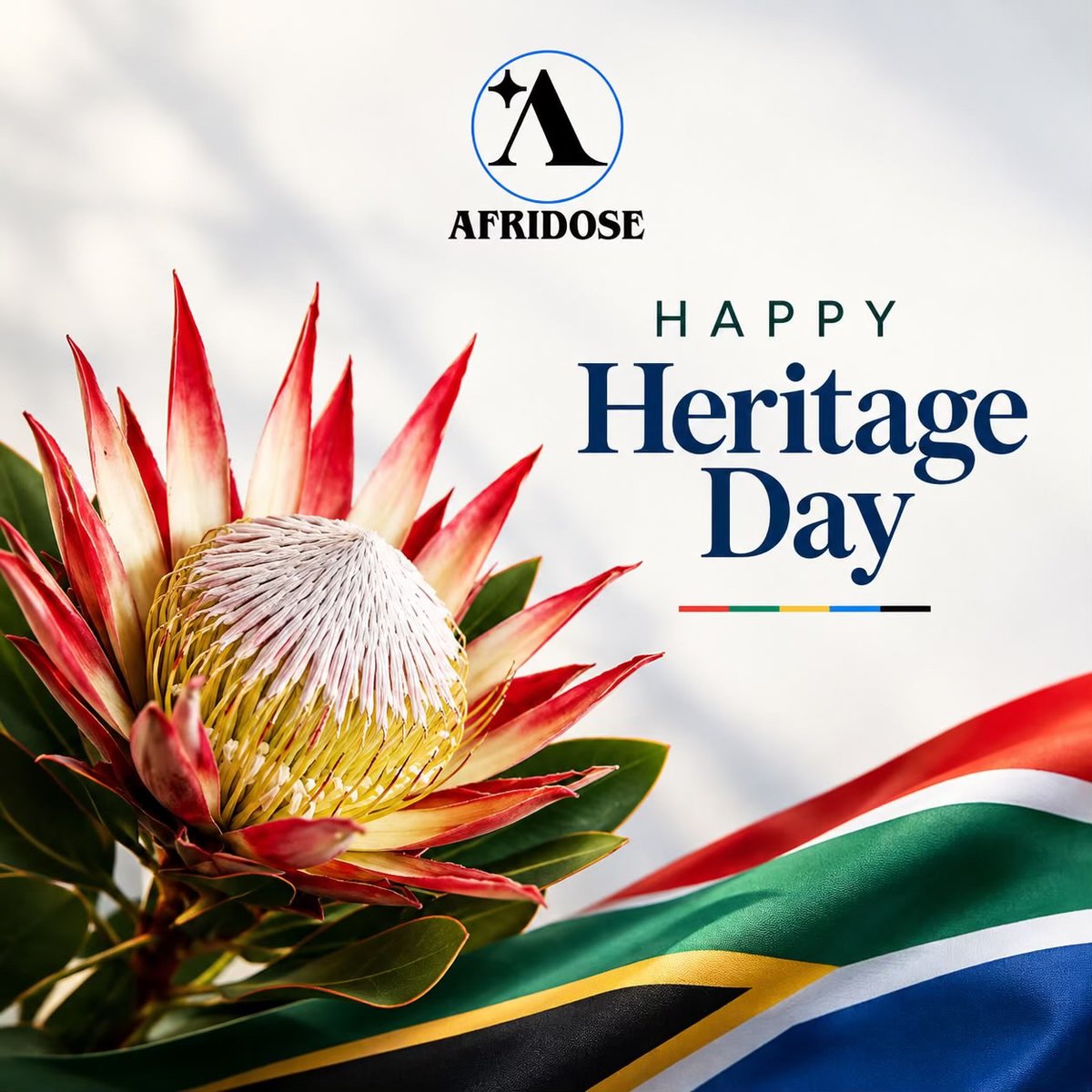 afridosehq's tweet photo. Happy Heritage Day, South Africa. 🇿🇦

Today we celebrate the cultures, traditions and people that make the nation unique.

At Afridose, we believe in building healthier communities and a stronger Africa, together.

Happy Heritage Day from Afridose. https://t.co/SZE0L08f4E