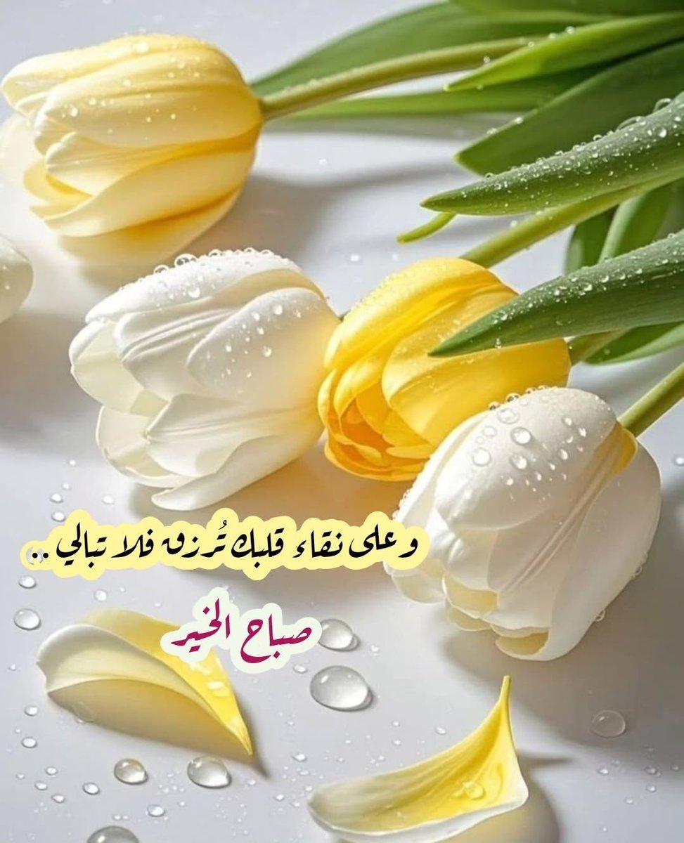 amjad6779's tweet photo. صباح الخير ☕

#يوم_الجمعة https://t.co/XAQoaMkZje