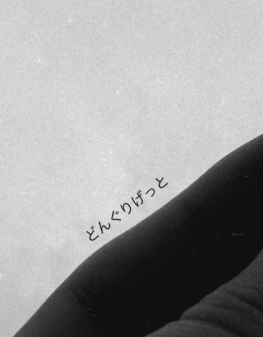 kai_chu0373's tweet photo. ちょっと前にどんぐりげっとしてた男だとは思えない( ՞.   ̫.՞)"天才ギャップ✨️✨️ https://t.co/SnRLEoEUCp