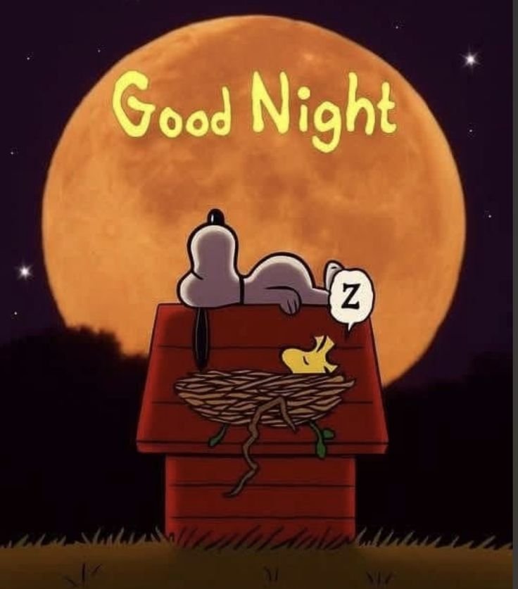 Snoopy_Fans10's tweet photo. Good Night https://t.co/8hmsSJ7hzi