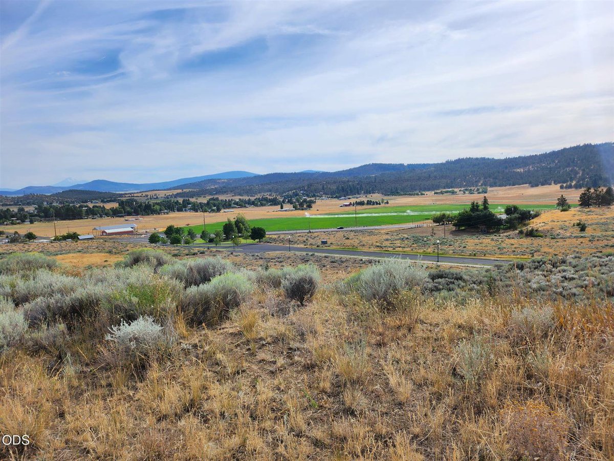 WendyClark541's tweet photo. Vacant land for sale! There's so many things you can do with it. #Land #RealEstate https://t.co/mXPzKVt8H0