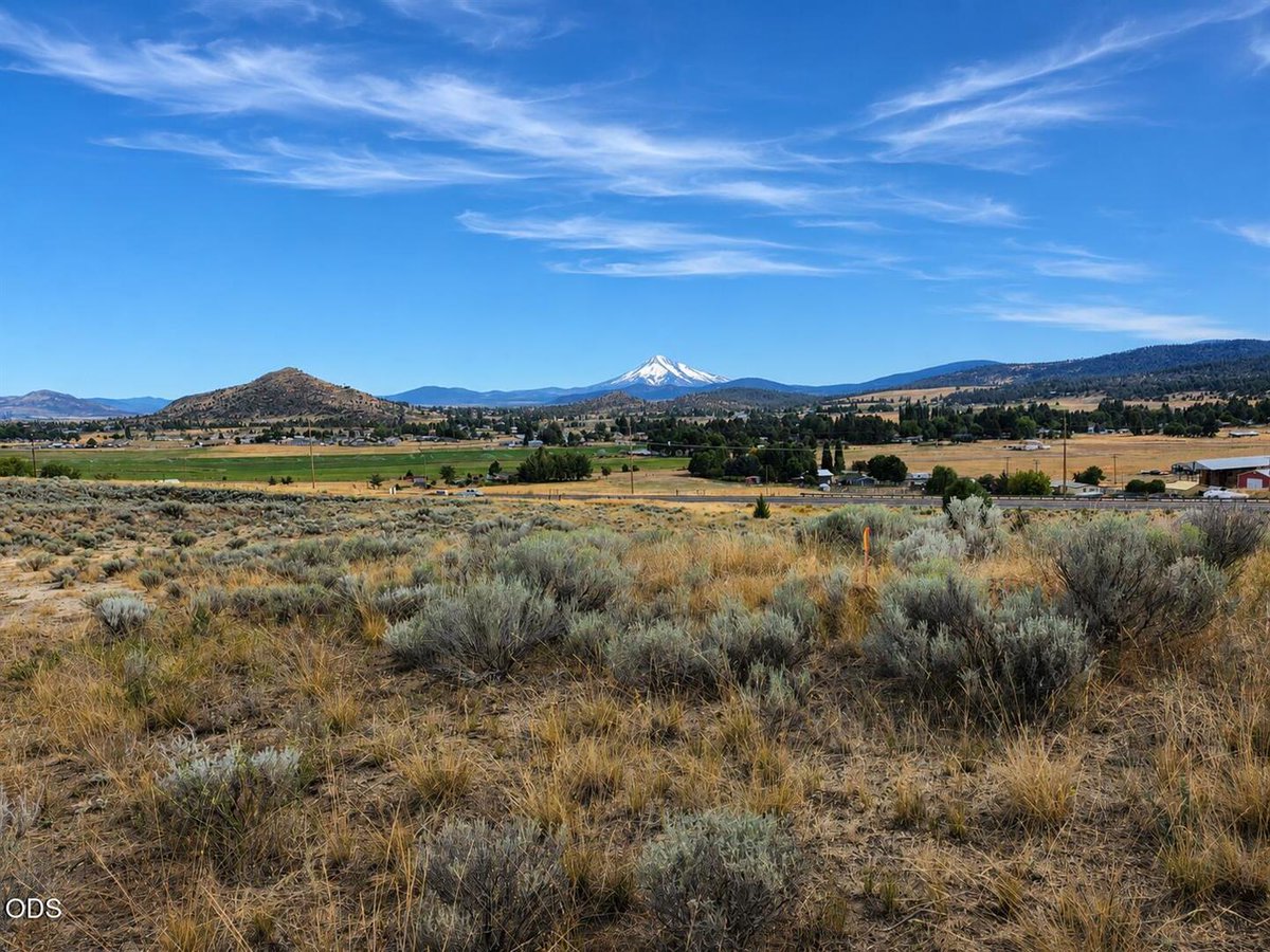 WendyClark541's tweet photo. Vacant land for sale! There's so many things you can do with it. #Land #RealEstate https://t.co/mXPzKVt8H0