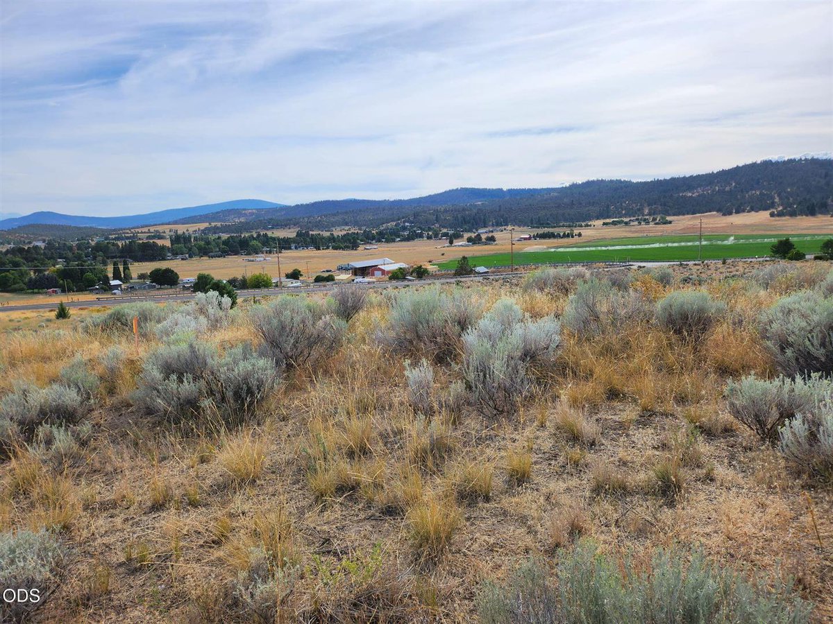 WendyClark541's tweet photo. Vacant land for sale! There's so many things you can do with it. #Land #RealEstate https://t.co/mXPzKVt8H0