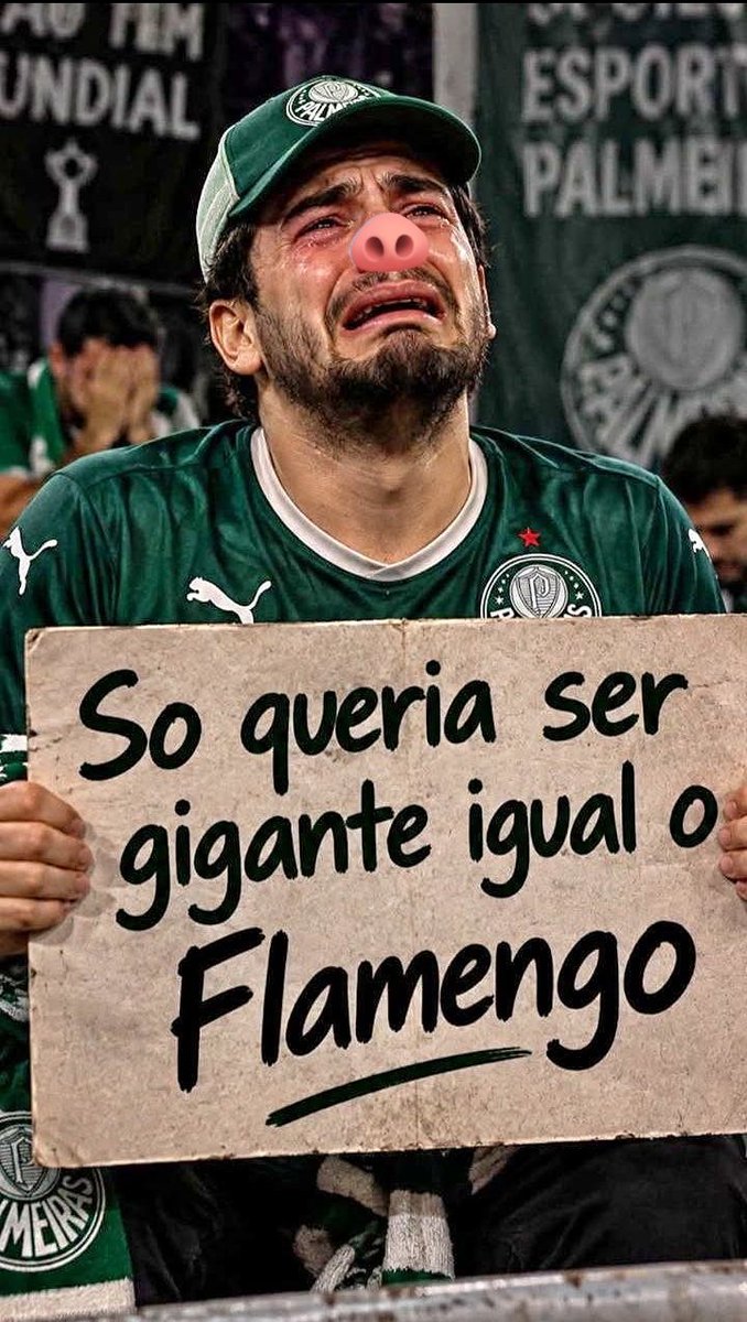 JeffPepechm's tweet photo. @MengaoIA CONTINUAN CHUPANDO O SACO DOS VARMEIRENSE SEM TÍTULOS FRACASSADO TRI VICE 2025 #PALMEIRAS #VASCO #MUNDOF #TROCADEPASSES💩🐷🖕🏿🤣🚩🏴 https://t.co/IDqhZus3Ai