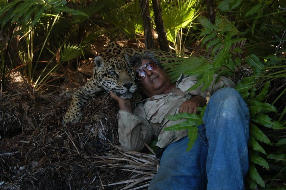 PlayaRiviera's tweet photo. Pepe Tigre, el icónico personaje de Cancún, esta a punto de perder al último jaguar que le queda. Los otros felinos que tenía, entre ellos varios tigres, le han sido decomisados, así como un terreno de varias hectáreas. Mientras él ha denunciado que están dejando morir de hambre a sus animales y le niegan el contacto con ellos, la PROFEPA realizó un operativo para quitarle a su última compañía.
