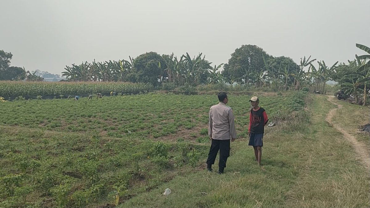 kp3gresik's tweet photo. Anggota Polsek Sidayu melaksanakan pengecekan Tanaman cabai di Desa. Wadeng Kec. Sidayu Kab.Gresik 

#astacita #swasembadapangan #polisicintapetani https://t.co/NbiI1BN10N
