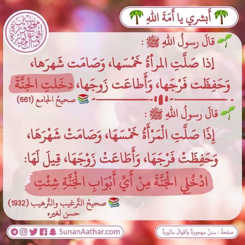Sunanaathar's tweet photo. 🌴 *أَبشري يا أَمَةَ اللهِ* 🌴
------------------------
📜  《 سُنَنٌ مَهجورةٌ وأَقوالٌ مأثورةٌ 》
https://t.co/c3MUmMgpVS 

قناة تلغرام :
https://t.co/YaHVyiqf2N
قناة وتس أب :
https://t.co/ATv3C0MUdL https://t.co/4tmckkP57d