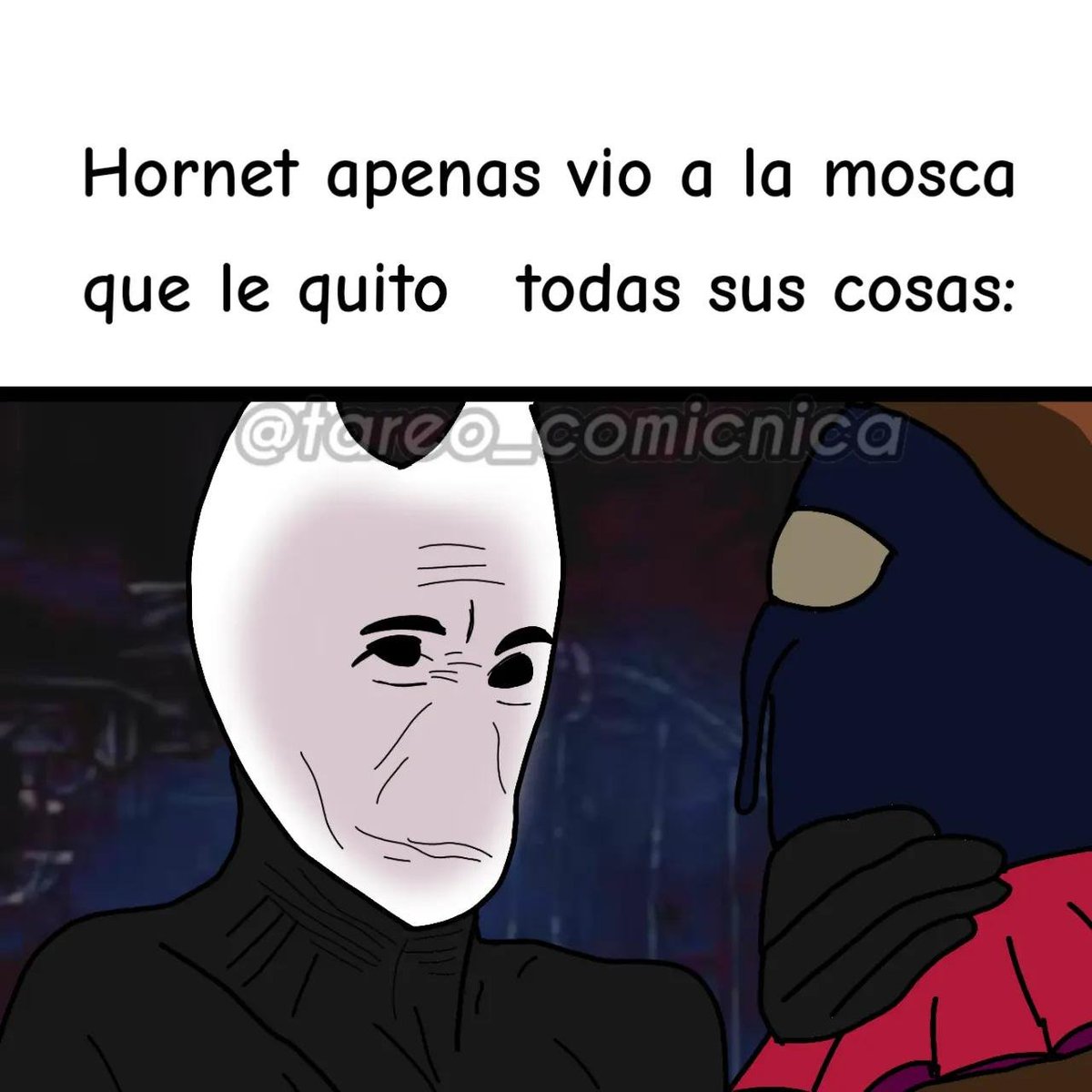 ComunicaTa23733's tweet photo. Sin duda las moscas son la especie más odiada por Hornet 

#silksong #meme #hornet #hollowknight https://t.co/06rx17PjKN