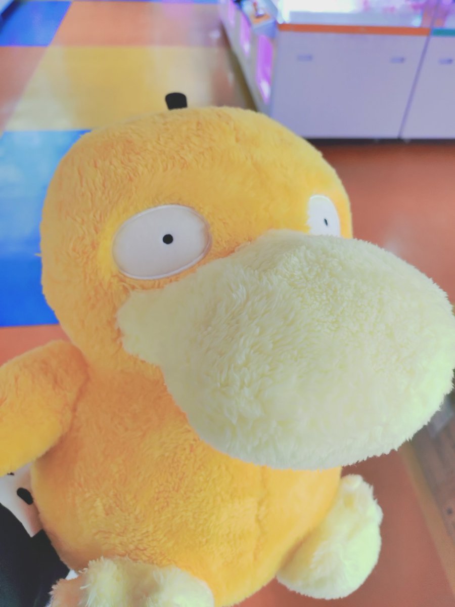 game_7snake's tweet photo. デカシナモン×2
クロミ
コダック
2500円で3つ獲って、2匹目シナモンは確率機設定調べてたから大ロス、相変わらず5000円の鬼渋だね
天井確認でハイエナ有利になるけど、実力じゃないし達成感は皆無
店名はビッグバンからメガゲットに変わったけど、駐車場は安定のビッグバンしてて安心する https://t.co/MhwvlA92Uo