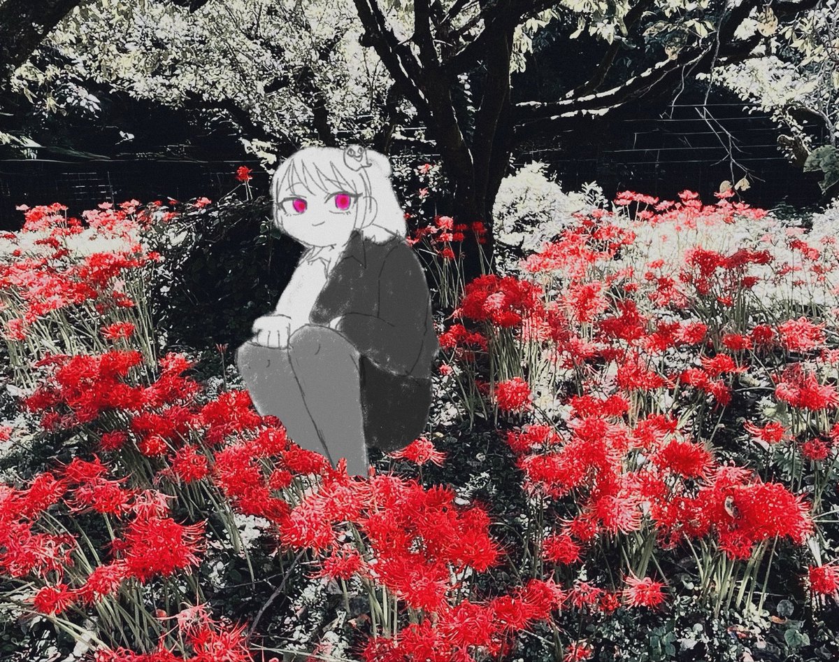 nonoichi__'s tweet photo. 画像見えてへんかも！
今年も見に行ったよ https://t.co/tTVMqqI7bi