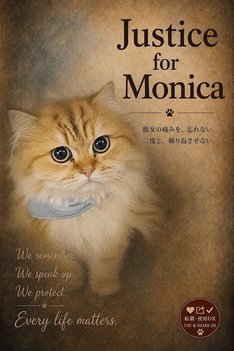 Makaronicascade's tweet photo. @justice4wangwan #JusticeForWongwong
#JusticeForMiko
#EndAnimalCrueltyBusiness https://t.co/9Fvv7fnm46