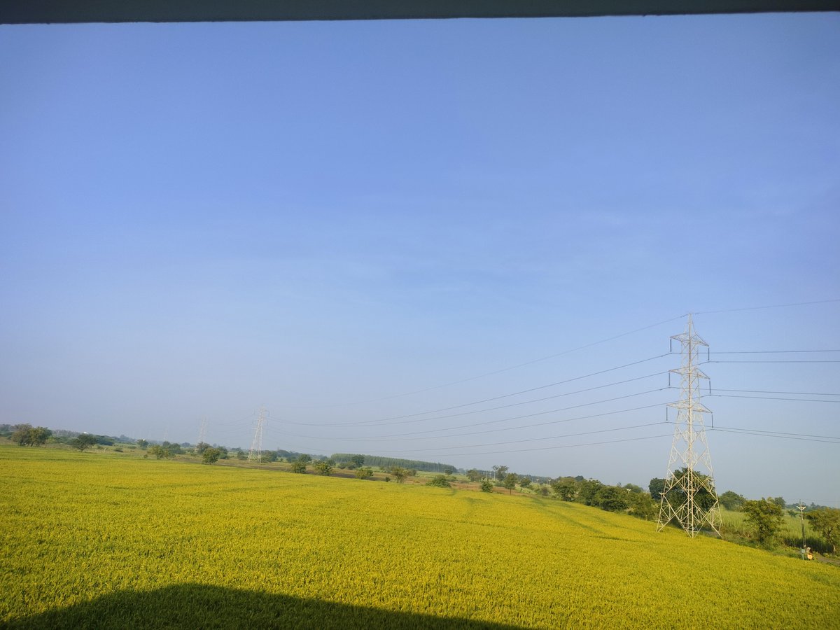 LegacyMauryan's tweet photo. The lush green paddy field from the vicinity of my classroom windows πͺ early morning π today ganpati visrajan in Gujarat so that's holiday for Students here .
#Greenpaddyfields https://t.co/QZJ3amu2eI