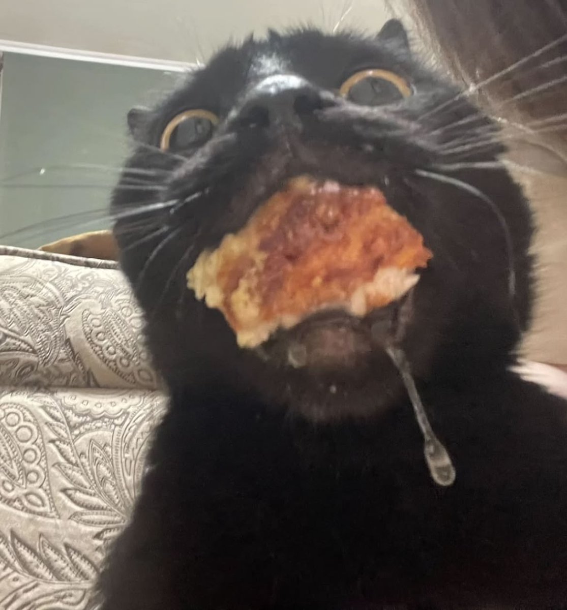 blackscats's tweet photo. His greed sickens me https://t.co/yH4draPpOz