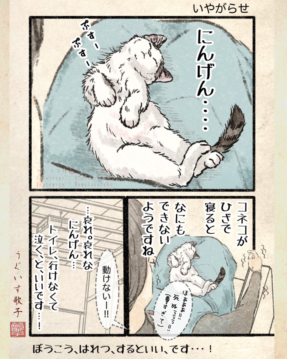 Motidukineko's tweet photo. 人間、を。追い、つめる。 https://t.co/q4r3dcS0RY