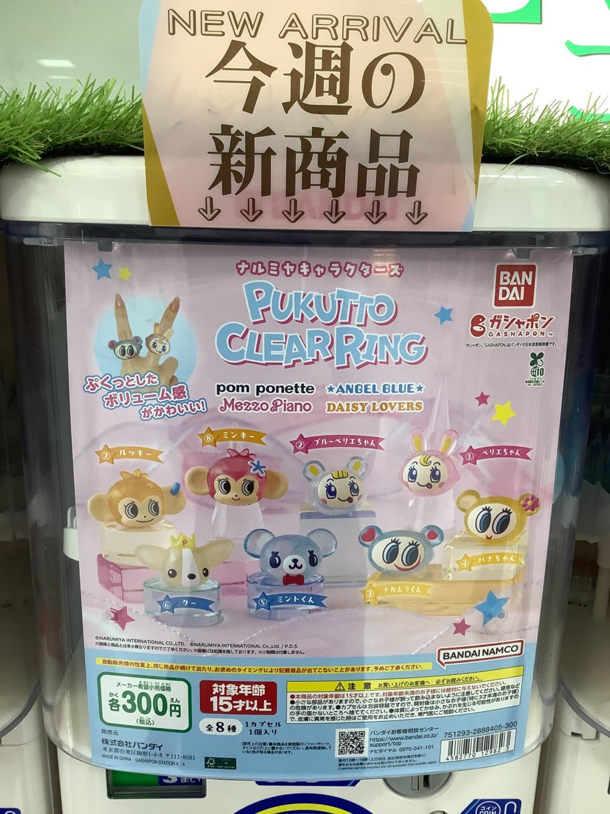 gashacoco エムズエクスポ盛岡の入荷情報の写真