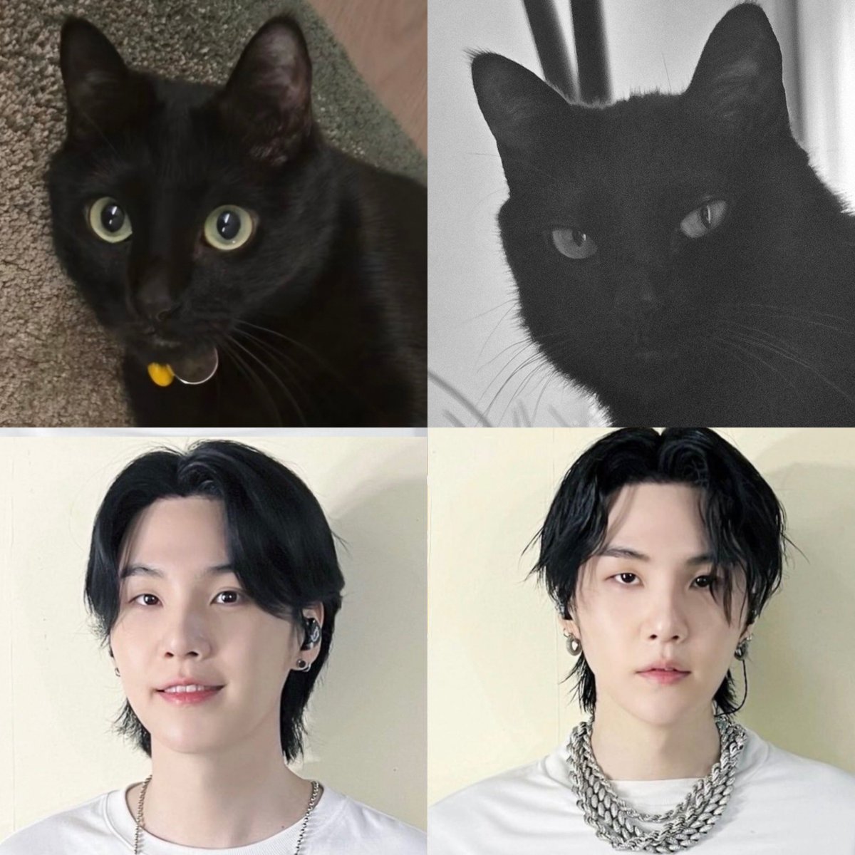 camlovesyoongi's tweet photo. no dna test needed https://t.co/y1cJEJVgTH