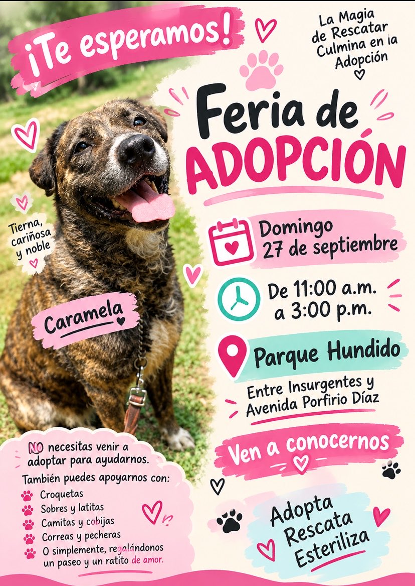 HELA_MORE's tweet photo. 🐾💕 ¡Nos vemos este domingo 27 de septiembre! 💕🐾
en la de Feria de Adopción en Parque Hundido.

📅 Domingo 27 de septiembre
🕚 De 11:00 a.m. a 3:00 p.m.
📍 Parque Hundido
📌 Entre Insurgentes y Avenida Porfirio Díaz

Ven a conocerlos, convivir con ellos y quizá encontrar a ese compañero que estabas buscando. ❤️

Y si por ahora no puedes adoptar, también puedes ayudarnos con croquetas, sobres, latitas, camitas, cobijas, correas o pecheras, o simplemente compartiendo esta publicación para que llegue a más personas. 🐾

✨ La magia de rescatar culmina en la adopción.
Adopta • Rescata • Esteriliza 🩷