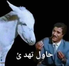 ROBNHOO31476948's tweet photo. @eid008399935 @NawafMisferIl يا حمار🫏
استخدم عقلك ترى بالمجان ونعمة عظيمة من الرحمن 
الصهاينة محاصرين مسلمين في غزة تجي السعودية تفتح حدودها الجوية للصهاينة هذي خيانة وغدر يصور النبي ﷺ العلاقة بين المؤمنين بالبناء المحكم، حيث يدعم كل جزء الجزء الآخر ليظل الكل قوياً وثابتاً انا لستوا فلسطيني يا ظهر النعامة https://t.co/vZHHYlyFjj