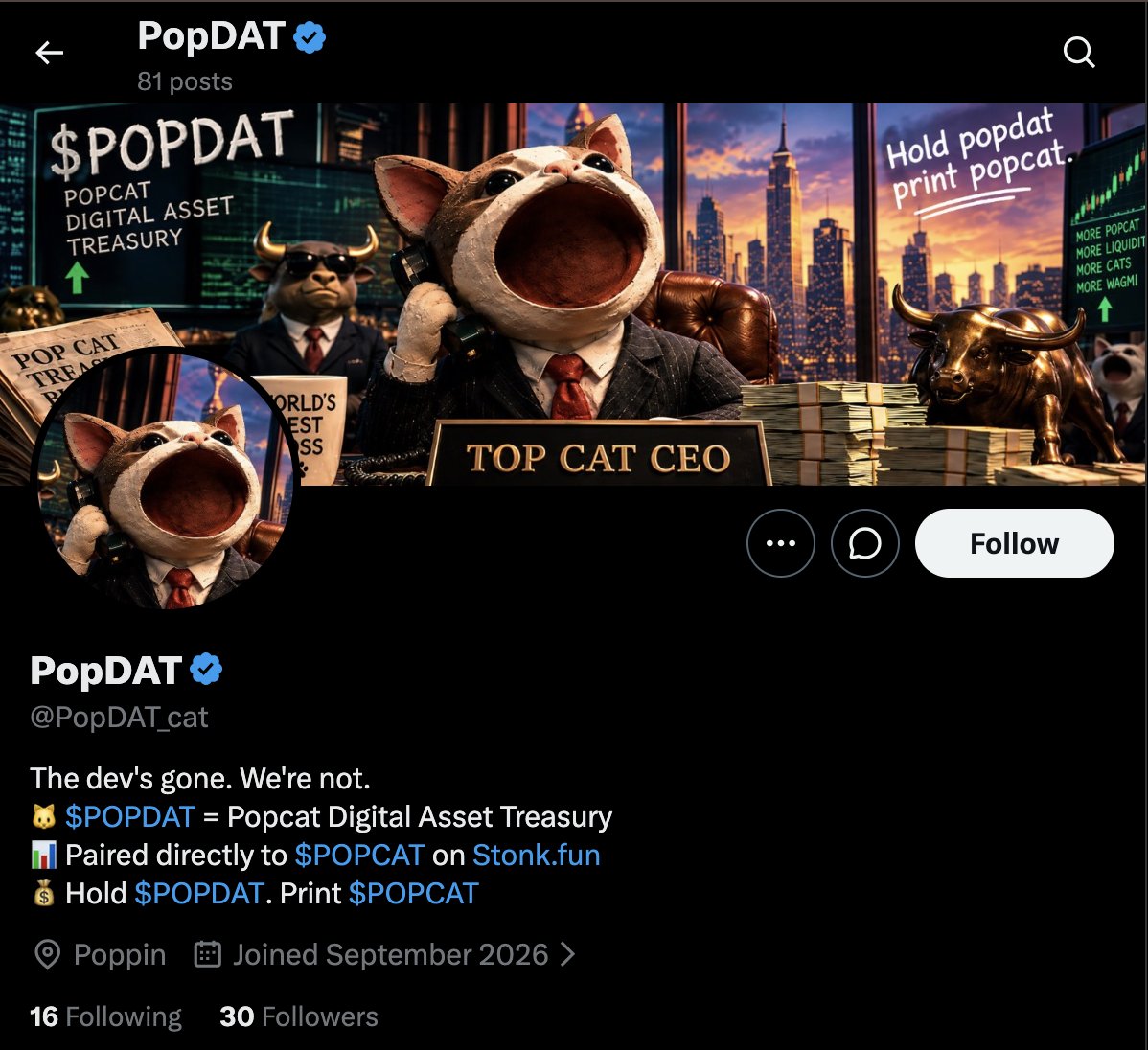 certifiedTOPCAT's tweet photo. @PopDAT_cat @popcatworld solana:BT845WxZtv9qmmEiGXB9rueBi1LT1ViHr6gbYx142FFP CEO without a top hat. How silly. https://t.co/lhlHcVBblT