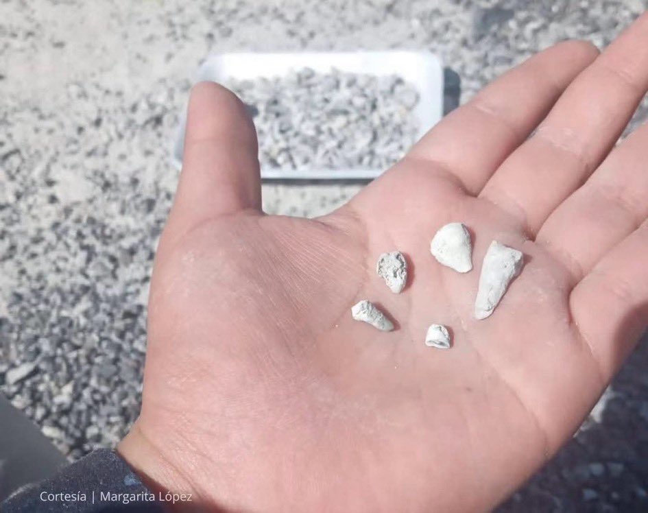 marcelcarrillog's tweet photo. ¿En qué país vivirán los pendejazos que dicen que lo de la fosa clandestina con 1,600 dientes de niños es una campaña de la oposición para golpear al gobierno?

Por el amor de Dios, les puedo asegurar que casos como ese son uno entre un millón y que hay miles de barbaries más en este país, donde esa clase de salvajadas ya están normalizadas.