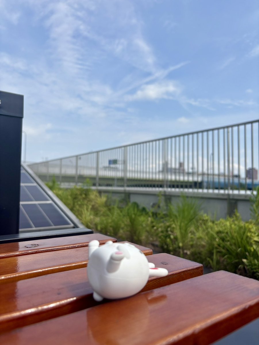 hmc_mobipyon's tweet photo. モビぴょん日記
ずっとこうしていたい…

 9月25日（金）天気：曇り 気温：27℃
#モビぴょん 
#HONDA 
#企業公式が毎朝地元の天気を言い合う 

#ゆるバース 参戦中
▼投票はこちら 
https://t.co/vJJe0QhHM1 https://t.co/An2vrVIxkb