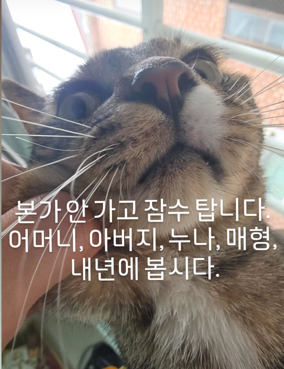 zuozuohhhh's tweet photo. 나도 40살쯤엔 이렇게 잠수타야지...... https://t.co/FxRMuHV2Fa