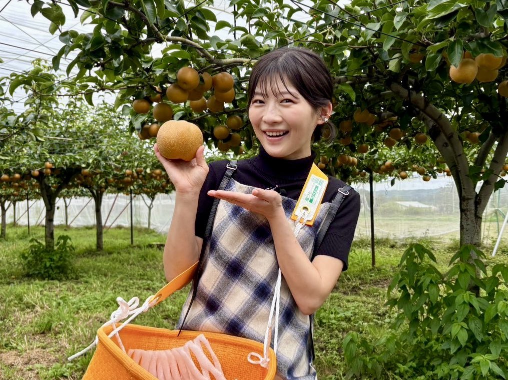 orehako_ntv's tweet photo. 【出演情報💡】

🗓️9月26日(土)よる7:00〜
📺#笑ってコラえて 3時間SP

「#俺たちの箱根駅伝」と大コラボSP🎉

大泉洋さん
伊藤沙莉さん
山下智久さん
小林虎之介さんが出演✨

原作者・池井戸潤さんの作品は
なぜ人々を魅了し続けるのか？
主演・大泉さんとともに
作品作りの原点に迫ります！

さらに、沙莉さんはダーツの旅へ🎯
緊張気味の沙莉さんに素敵な出会い続々⋆˙⟡

そして、笑コラがドラマ撮影の裏側に潜入🎥
小林さん、菅生新樹さん、庄司浩平さんなど
若き俳優たちの壮絶な役作りに密着！
ドラマの初解禁映像も特別公開！

スタジオには約3年ぶりに出演の山下さんと
小林さんが登場✨
ぜひご覧ください！！

#オレハコ
🍂 10月10日(土)よる9時スタート🍂