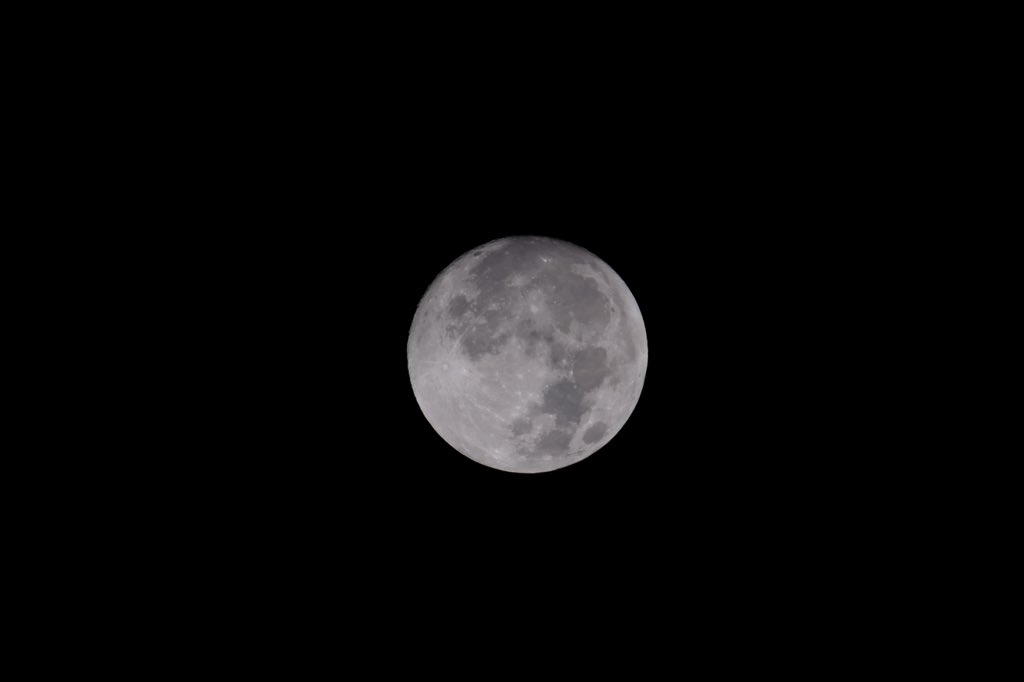 STMaverick1123's tweet photo. 🌕 中秋の名月

今日は中秋の名月。
秋は「芸術の秋」ともいわれ、音楽を楽しむのにもぴったりの季節です。

月を眺めながら、お気に入りの一曲を聴いてみるのはいかがでしょうか。🌕🎶

#STUDIOMaverick #中秋の名月 #芸術の秋 #音楽 https://t.co/vGkbx8Qboz