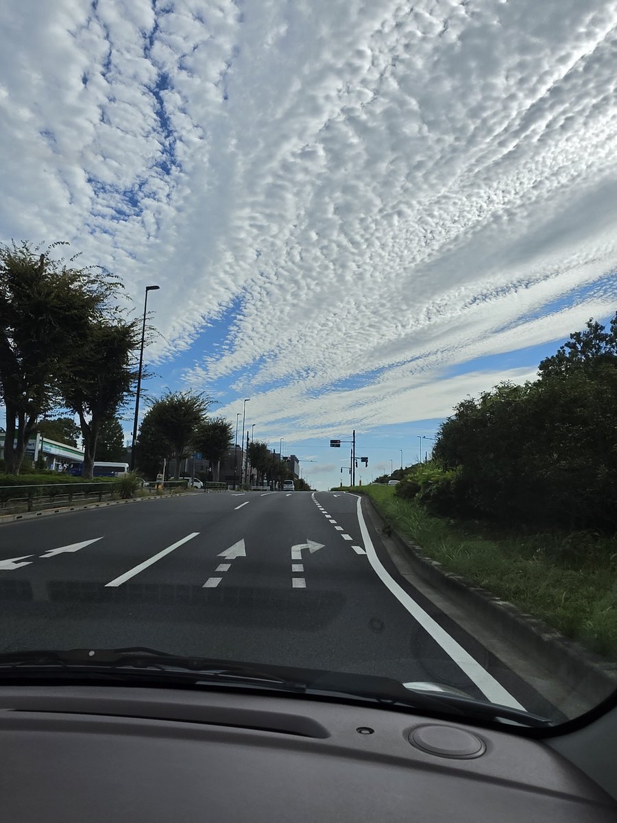 AcameronAke's tweet photo. 昨日、地震雲みたいの出ていたなぁ。

明日は土曜日だけど、午前は仕事が入りました…

けど金曜日は嬉しい😃💕 https://t.co/Qh32vofedW