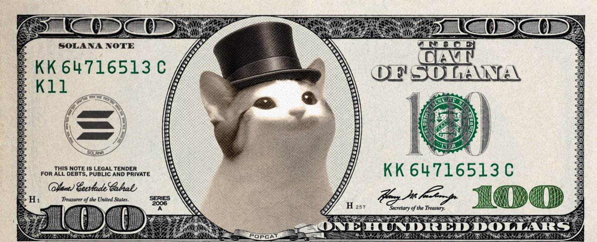 certifiedTOPCAT's tweet photo. @BLtrades @popcatworld @cryptoklotz TOP CATTTTT https://t.co/KpZcCcRLOn