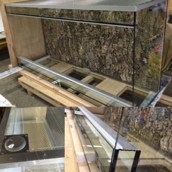 cot_up's tweet photo. レプタケースは大型サイズの製作いたします。

大型レプタケース
1800x600x900H
背面コルクボード貼加工

お問合せメール
info@cot-up.com

https://t.co/aGiNJmUv8V
https://t.co/0fSgJnnfWi https://t.co/tYIKKfaaDG