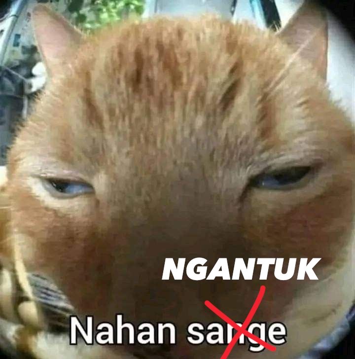 NINGNINGlul's tweet photo. @JCYlul pagi umbi https://t.co/CHO2G3skci