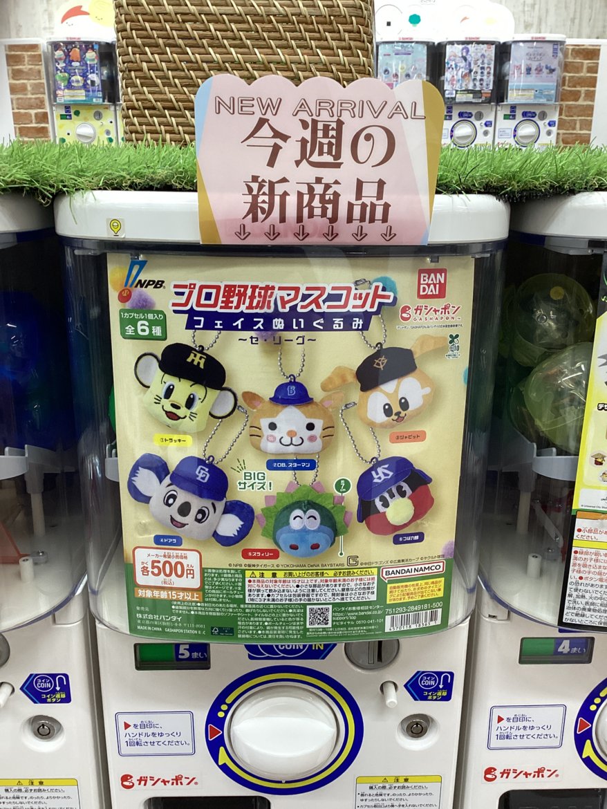 gashacoco リバーウォーク北九州の入荷情報の写真