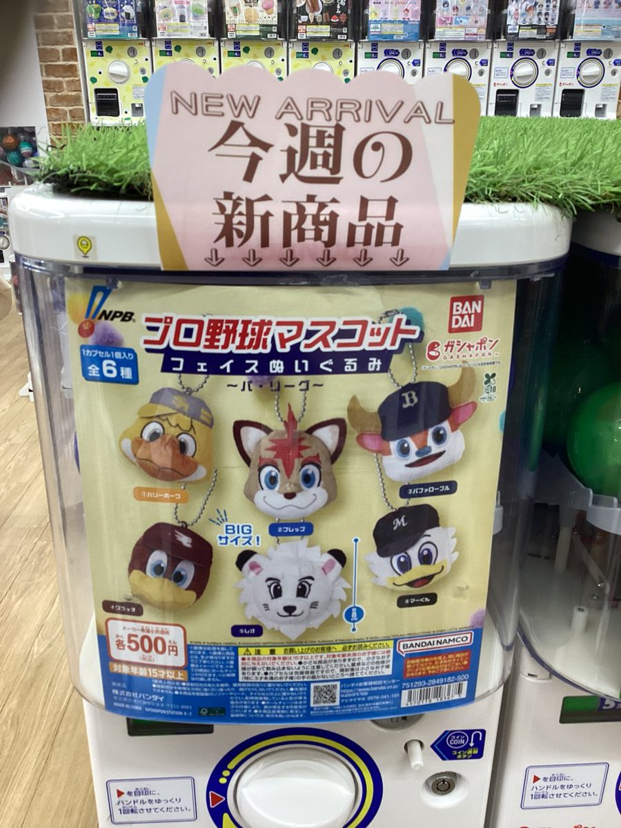 gashacoco リバーウォーク北九州の入荷情報の写真